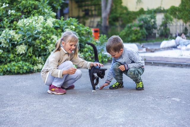 Free download cat kids smiles joy love free picture to be edited with GIMP free online image editor