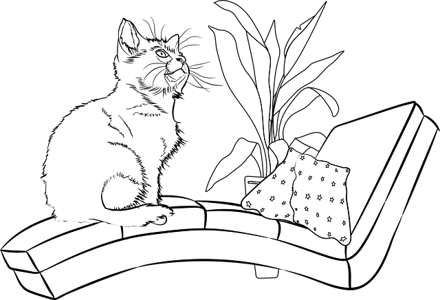 Free download Cat Kitten Free Photos - Free vector graphic on Pixabay free illustration to be edited with GIMP free online image editor