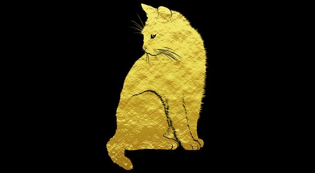Free download Cat Kitten Golden -  free illustration to be edited with GIMP free online image editor
