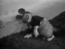 Free download cat_mause free photo or picture to be edited with GIMP online image editor