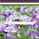 Catmint  screen for extension Chrome web store in OffiDocs Chromium