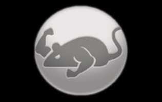 Free download catmouse-apk free photo or picture to be edited with GIMP online image editor