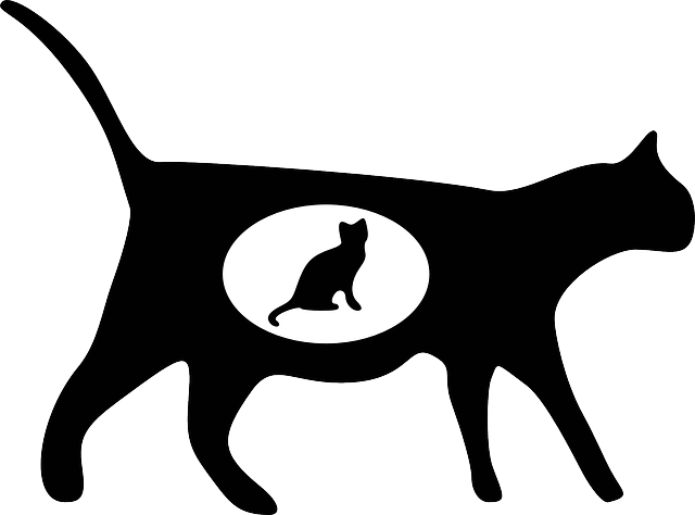 Free download Cat Pet Animal - Free vector graphic on Pixabay free illustration to be edited with GIMP free online image editor