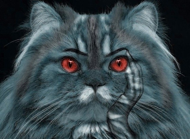 Téléchargement gratuit Cat Red Eyes Animal - illustration gratuite à éditer avec l'éditeur d'images en ligne gratuit GIMP