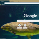 Ca Trout  screen for extension Chrome web store in OffiDocs Chromium