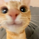 cats  screen for extension Chrome web store in OffiDocs Chromium