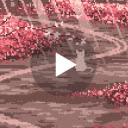 Cat Sakura Street Pixel Live Wallpaper New Tab  screen for extension Chrome web store in OffiDocs Chromium