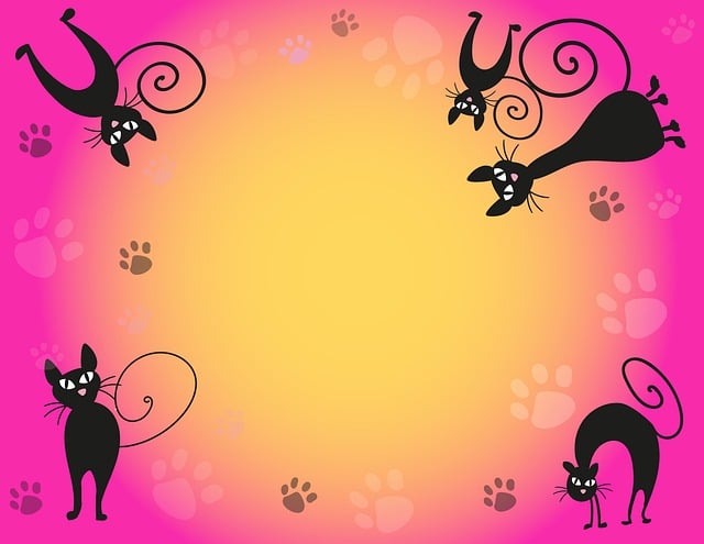 Free download cats fluffy cat pets cute fur free picture to be edited with GIMP free online image editor