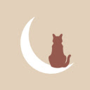 Cat sitting on the moon  screen for extension Chrome web store in OffiDocs Chromium