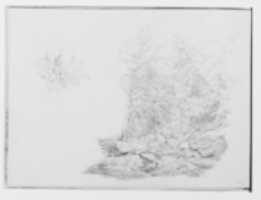 Free download Catskill 1864: A Forest Stream (from Sketchbook) free photo or picture to be edited with GIMP online image editor