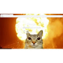 catt  screen for extension Chrome web store in OffiDocs Chromium