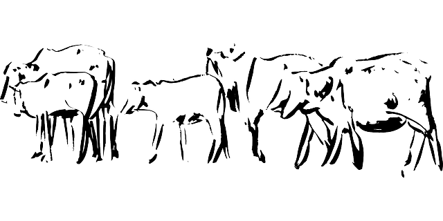 Free graphic Cattle Livestock Animals - Free vector graphic on Pixabay to be edited by GIMP free image editor by OffiDocs