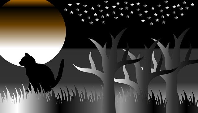 Free download Cat Twilight Dusk -  free illustration to be edited with GIMP free online image editor