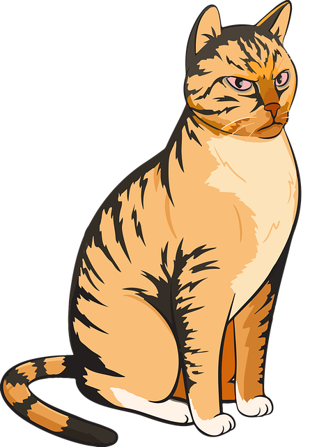 Free download Cat Vector An Angry Cute -  free illustration to be edited with GIMP free online image editor