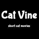 Cat Vine Lite | ショート猫動画  screen for extension Chrome web store in OffiDocs Chromium