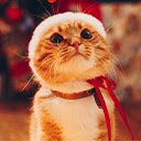 Cat wallpaper adorable cat wallpaper  screen for extension Chrome web store in OffiDocs Chromium