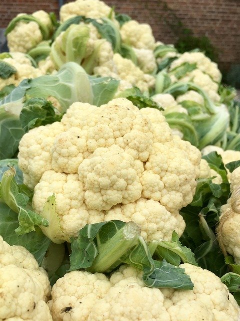 Free download Cauliflower Cabbage Food -  free photo or picture to be edited with GIMP online image editor