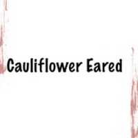 Free download cauliflower eared-1 free photo or picture to be edited with GIMP online image editor