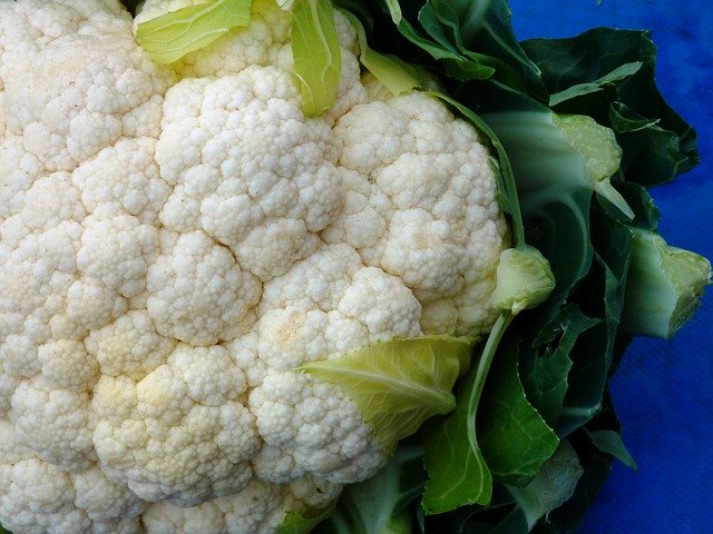 Free download Cauliflower Kohl Vegetables -  free photo or picture to be edited with GIMP online image editor