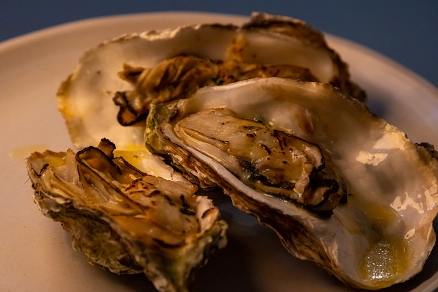 Free download cave food fresh seafood clam free picture to be edited with GIMP free online image editor