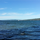Cayuga Lake  screen for extension Chrome web store in OffiDocs Chromium