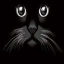 CCViewer  screen for extension Chrome web store in OffiDocs Chromium