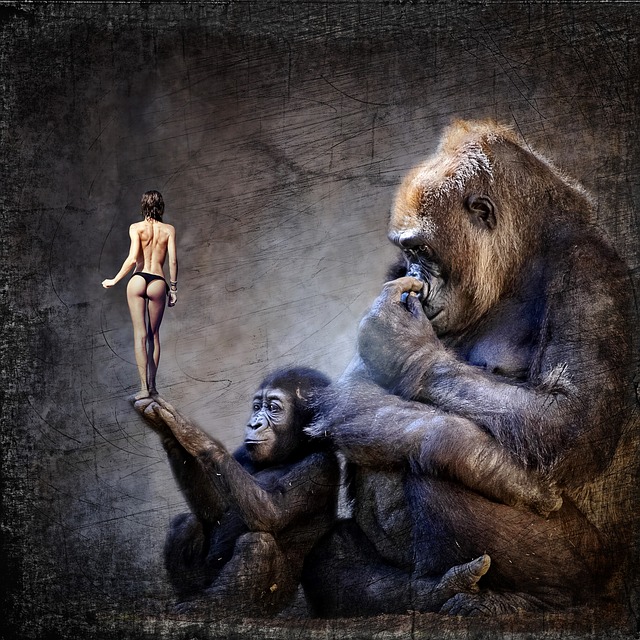 Free download cd cover gorilla ape woman naked free picture to be edited with GIMP free online image editor