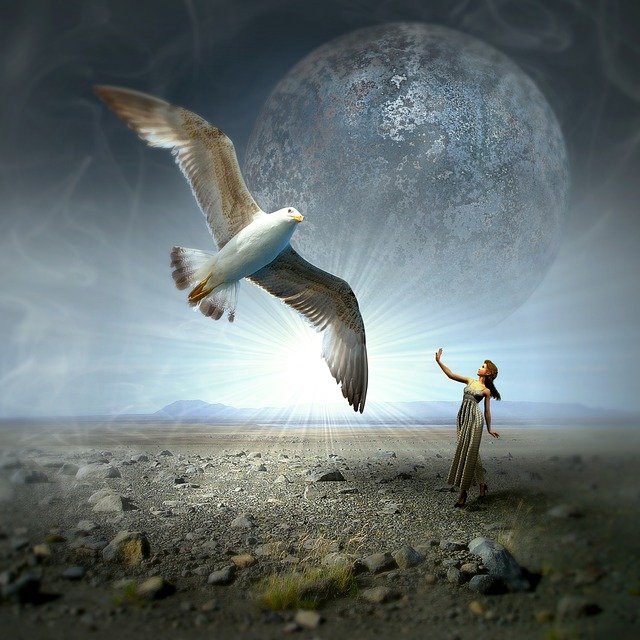 Free download cd cover gull woman moon landscape free picture to be edited with GIMP free online image editor