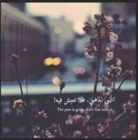 Free download Ce free photo or picture to be edited with GIMP online image editor