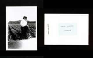 Free download Celery Field Worker free photo or picture to be edited with GIMP online image editor