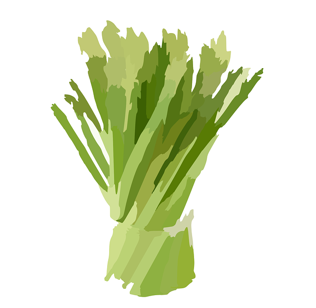 Free download Celery Rhubarb Bunch - Free vector graphic on Pixabay free illustration to be edited with GIMP free online image editor