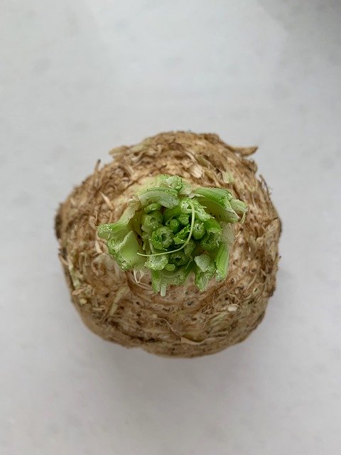 Free download Celery Root Health Day Vegetable -  free photo or picture to be edited with GIMP online image editor