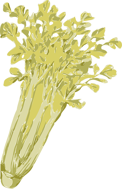 Free download Celery Vegetables Green - Free vector graphic on Pixabay free illustration to be edited with GIMP free online image editor