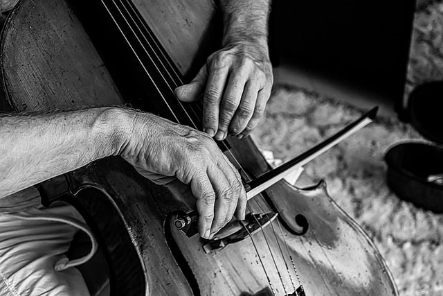 Free download cellist violoncello cello bow free picture to be edited with GIMP free online image editor