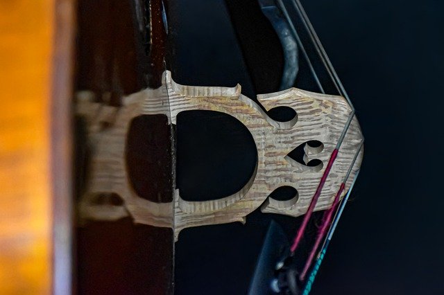 Free download Cello Bridge Musical -  free photo or picture to be edited with GIMP online image editor