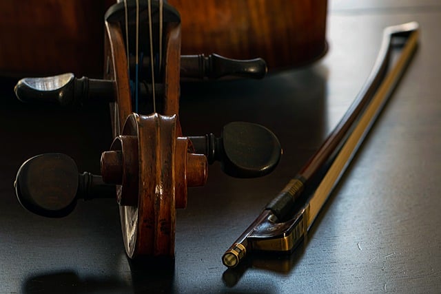 Descărcare gratuită a corzilor pentru violoncel pentru a fi editată cu editorul de imagini online gratuit GIMP
