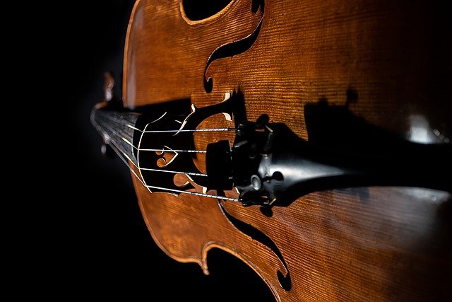 Free download cello musical instrument free picture to be edited with GIMP free online image editor