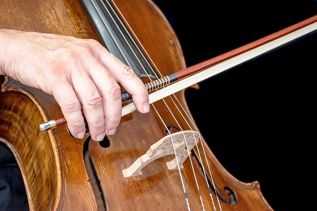 Free download cello old instrument music sound free picture to be edited with GIMP free online image editor
