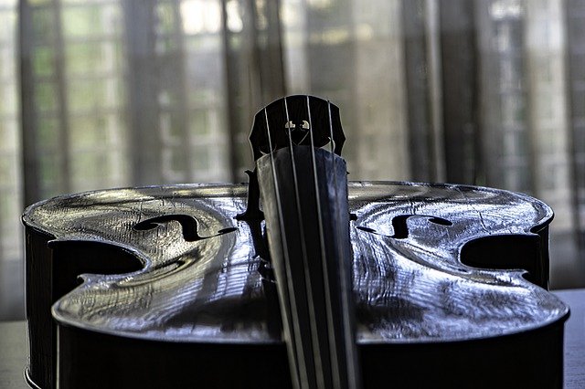 Free download cello strings classic free picture to be edited with GIMP free online image editor