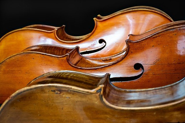 Scarica gratuitamente il trio di violoncelli il significato dell'immagine gratuita della vita da modificare con l'editor di immagini online gratuito GIMP