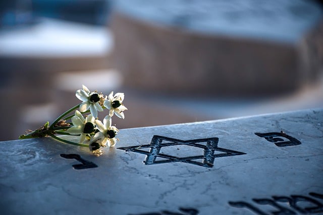 無料ダウンロード墓地、ユダヤ人の墓の花、GIMPで編集できる無料のオンライン画像エディターの無料画像