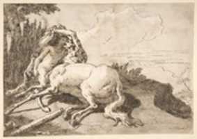 Free download Centaur Embracing a Satyress free photo or picture to be edited with GIMP online image editor