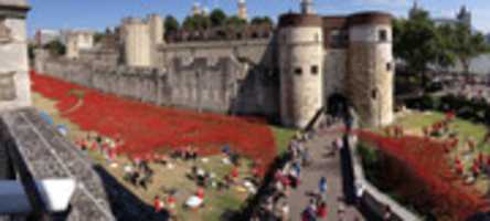 Безкоштовно завантажте ceramic-poppies-first-world-war-installation-london-tower-13 безкоштовну фотографію або зображення для редагування за допомогою онлайн-редактора зображень GIMP