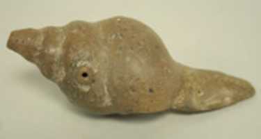 Free download Ceramic Whistle in the Form of a Shell free photo or picture to be edited with GIMP online image editor