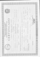 Free download Certificado Ensino Medio 001 free photo or picture to be edited with GIMP online image editor