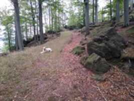 Free download Cervene skaly free photo or picture to be edited with GIMP online image editor