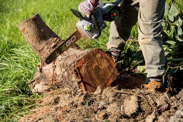 ດາວໂຫຼດຟຣີ Chainsaw Tool - ຮູບພາບຫຼືຮູບພາບທີ່ບໍ່ເສຍຄ່າເພື່ອແກ້ໄຂດ້ວຍຕົວແກ້ໄຂຮູບພາບອອນໄລນ໌ GIMP