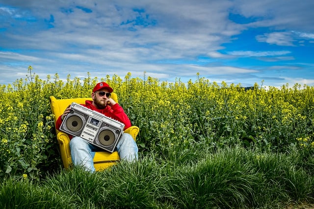 Free download chair field of rapeseeds rapper free picture to be edited with GIMP free online image editor