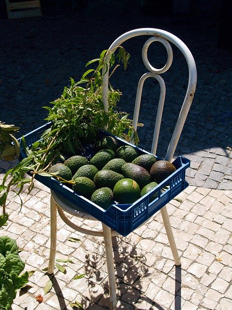 Безкоштовно завантажте стілець Vegetable Nature - безкоштовне фото або зображення для редагування за допомогою онлайн-редактора зображень GIMP