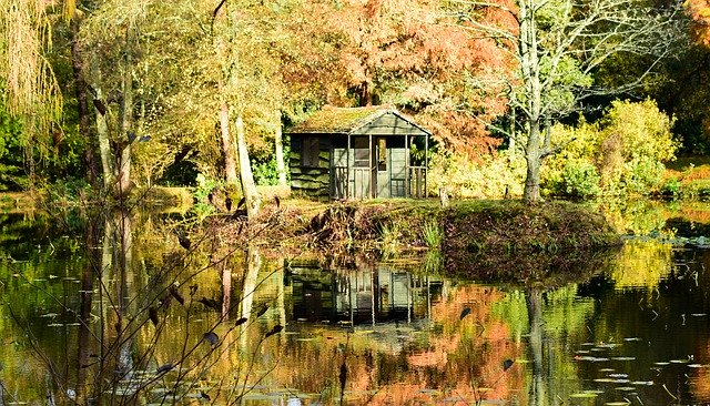 Unduh gratis Chalet Forest Autumn - foto atau gambar gratis untuk diedit dengan editor gambar online GIMP